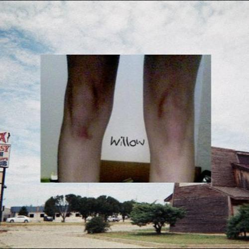 Sloppy Jane schreeuwt om aandacht met ‘Willow’, maar weet niet wat ermee te doen