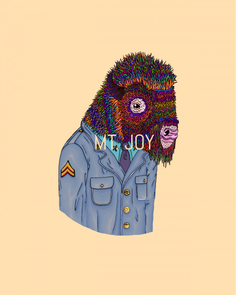 Mt. Joy