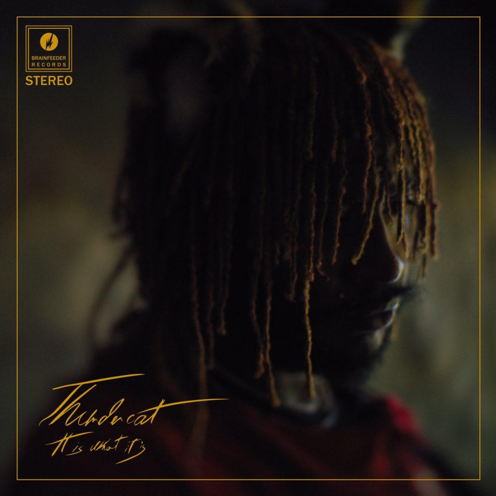 Thundercat is een lolbroek met een klein hartje op ‘It is what it is’