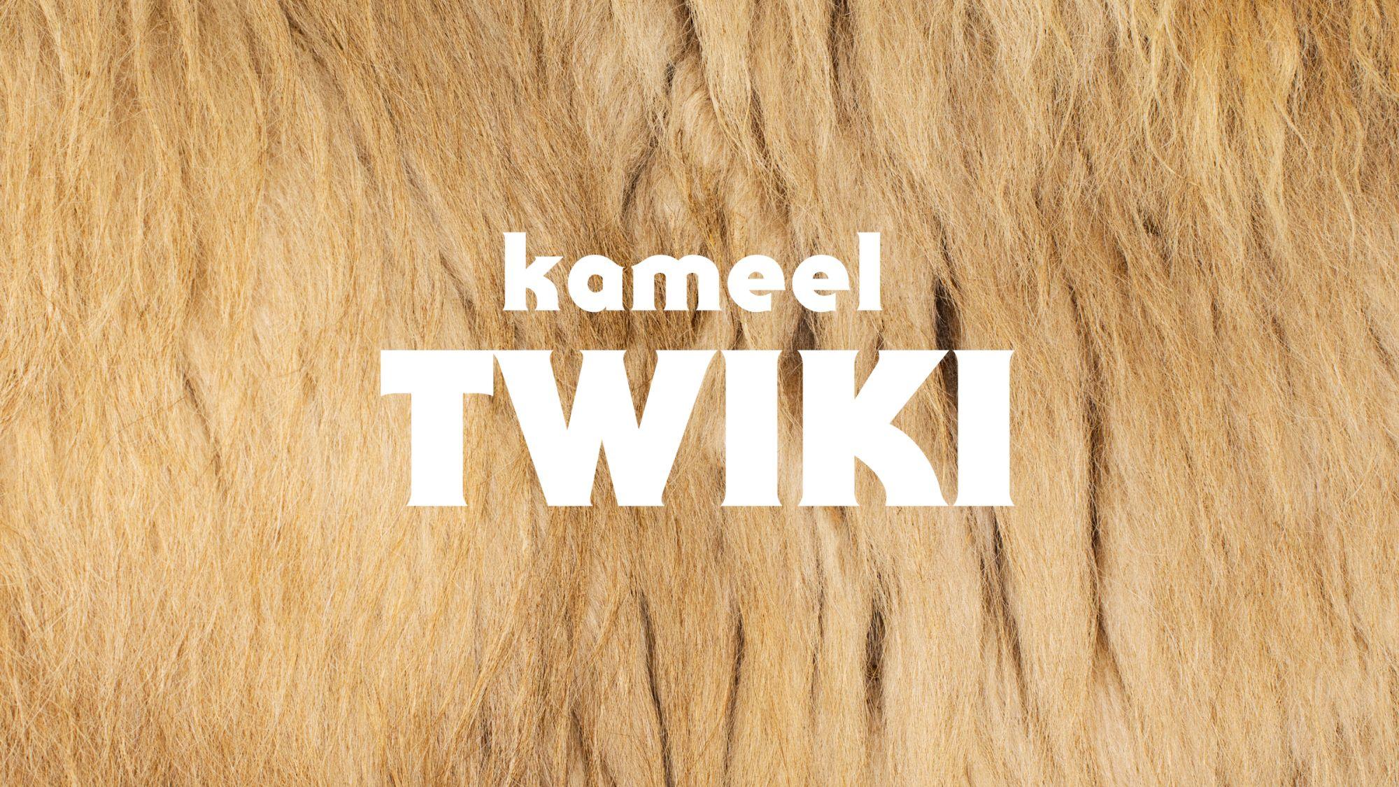 Twiki Video thumb