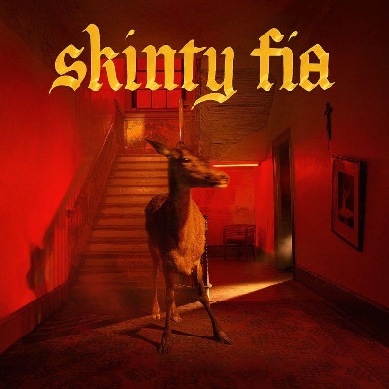 Fontaines D.C. pakt het groots aan op ‘Skinty fia’
