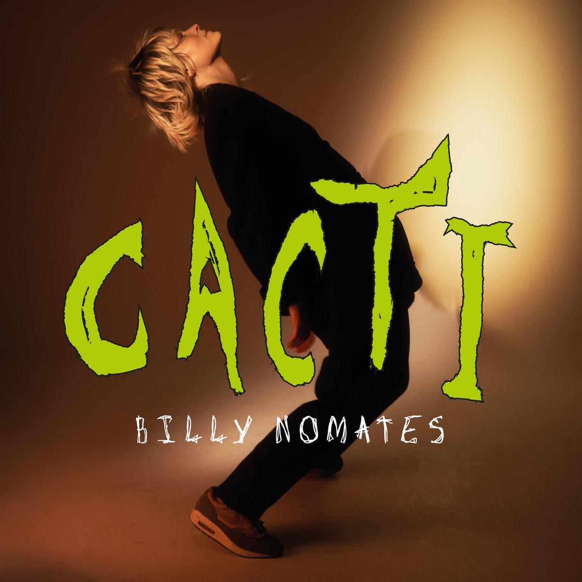 Billy Nomates’ stekels zijn iets minder scherp op het transformatieve ‘CACTI’