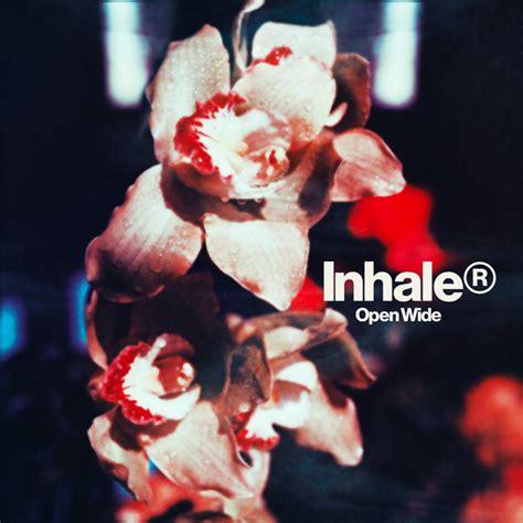 Inhaler waant zich een alternatieve kameleon en scoort met ‘Open Wide’