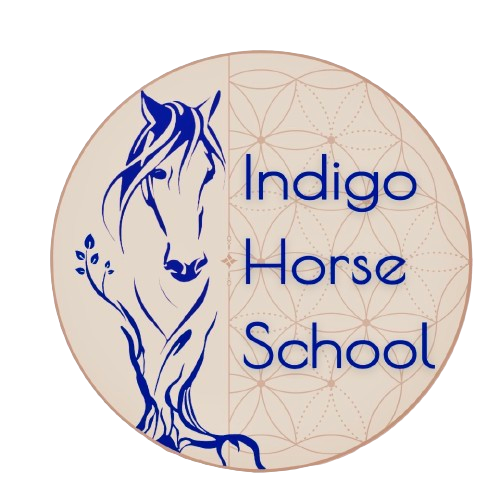 indigo-horseschool.com