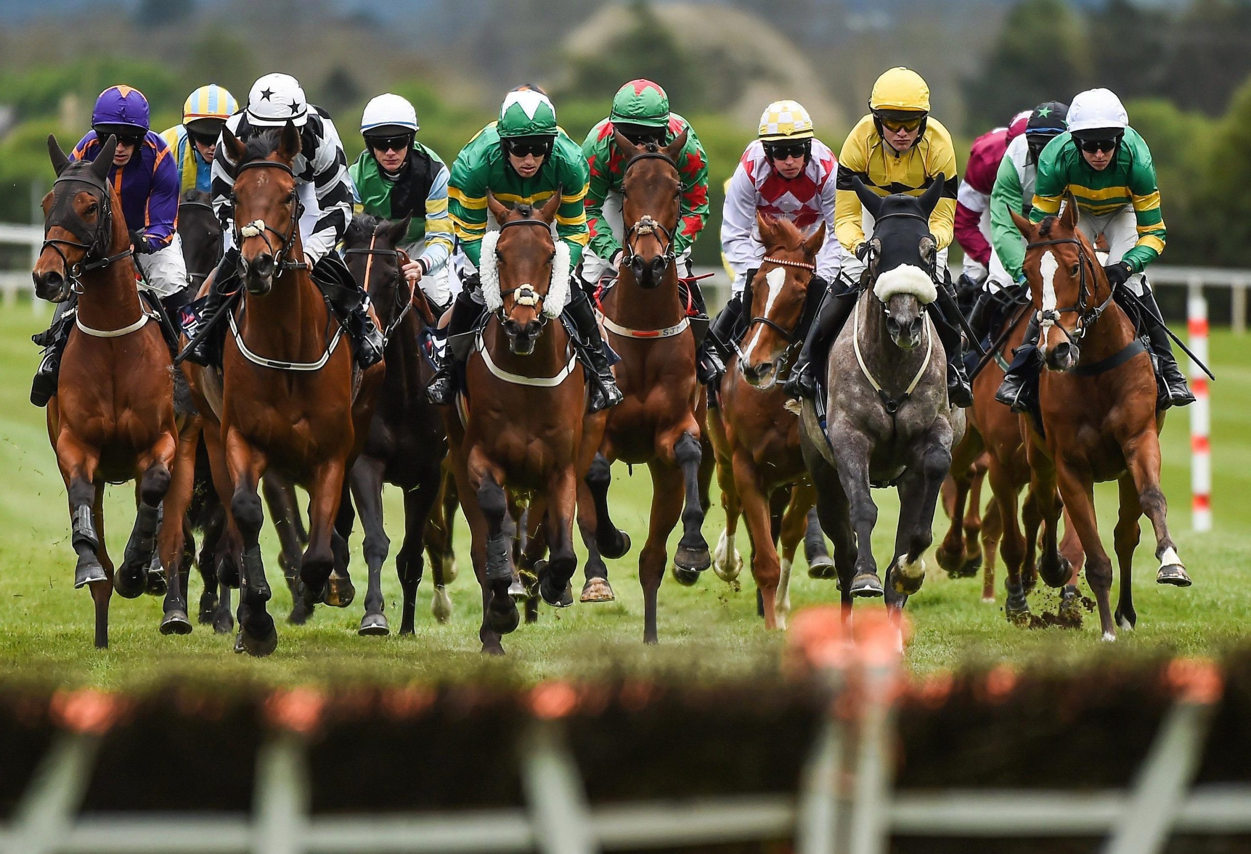 The Best Horse Racing Tipsters For Cheltenham Festival 2020