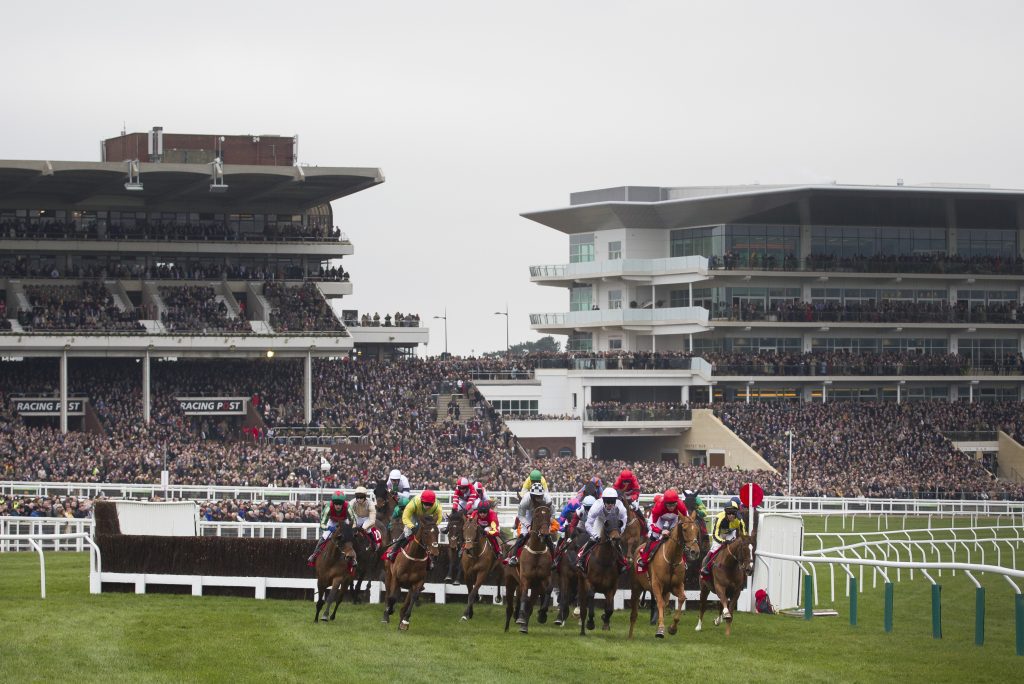 The Best Horse Racing Tipsters For Cheltenham Festival 2020