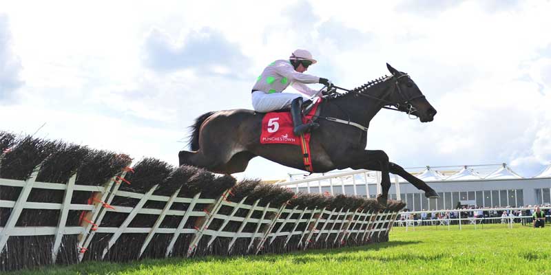 Three contenders for the Champion Hurdle at Cheltenham Festival