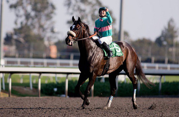 The Three Greatest Racehorses Who Ever Lived