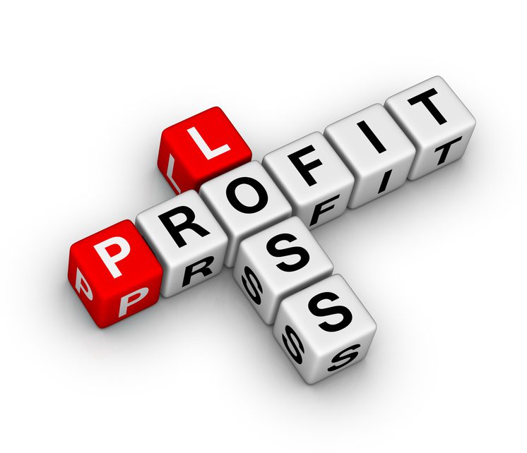 profit loss records