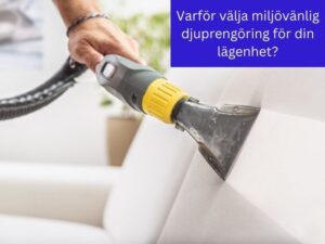 Varfor-valja-miljovanlig-djuprengoring-for-din-lagenhet