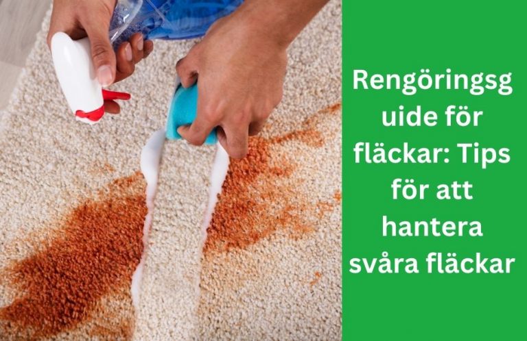 Rengöringsguide för fläckar Tips för att hantera svåra fläckar