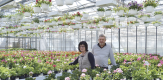 Hos Sölvekulle Handelsträdgård finns allt från blommor till grönsaker