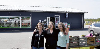 Helens dröm en Zoobutik