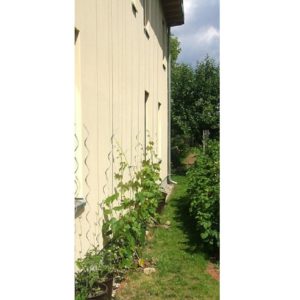 Climber - Bilde 8