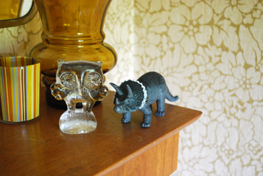 animals7