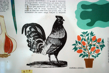 animals8