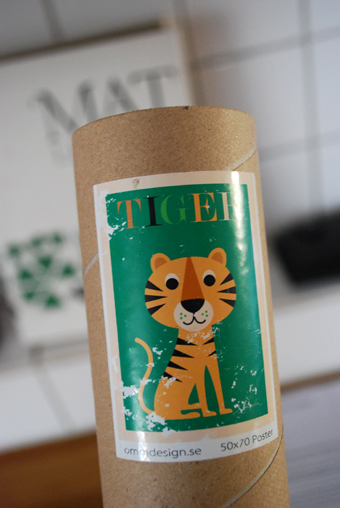 tiger5