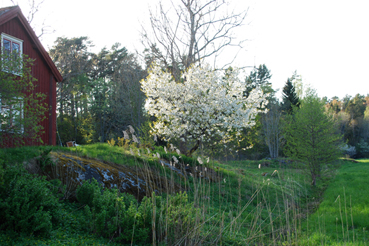 utstallning13