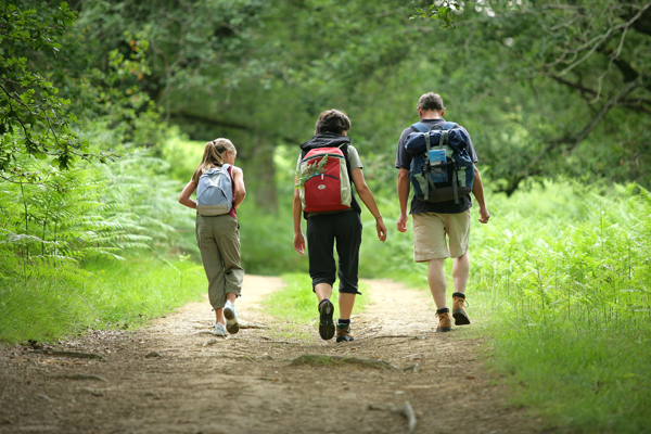 Wandelen voor je brein