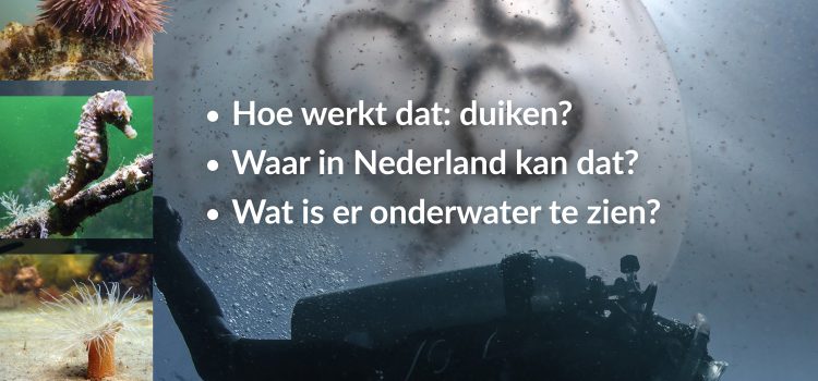 Nederland Onderwater