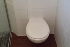 Fliesen_Badezimmer_Toilette_01