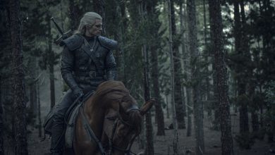 The Witcher