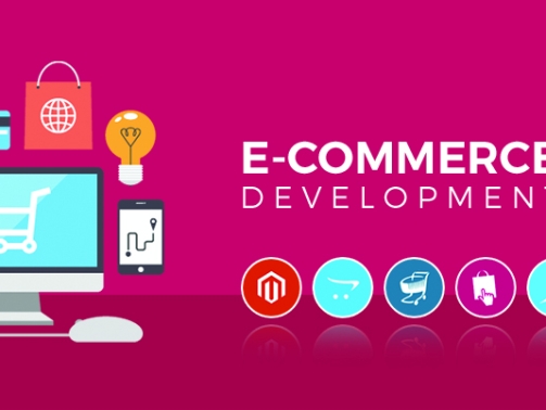 E-commerce_web_development-in-gujarat-inqyri-com