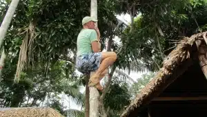 Traveler experiencing traditional açaí palm climbing with local guide in the Amazon rainforest