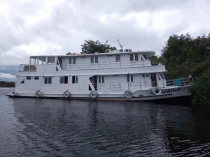 Amazon Riverboat anchored by the jungle at dusk