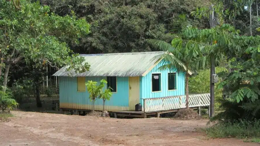 Typical caboclo house on stilts along the Rio Negro in the Amazon.