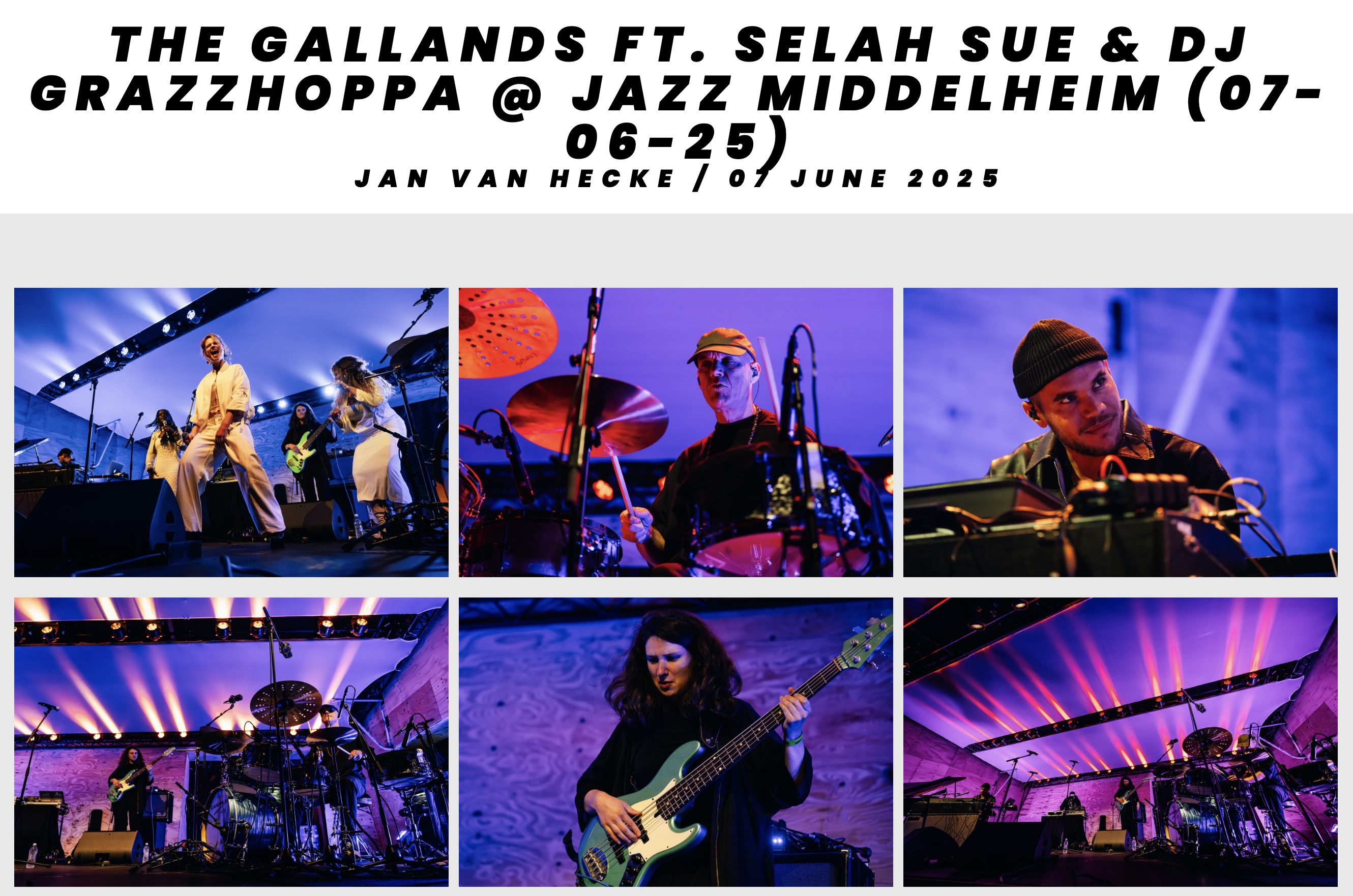 Elvin & Stéphane Galland - The Gallands Jazz Middelheim photo's