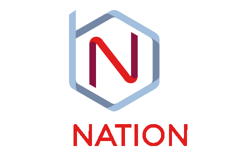Botnation.ai logo - insidr.ai AI Tool