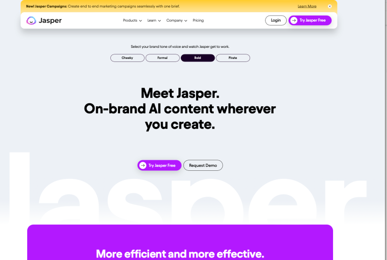 Jasper Chatbot - AI chatbot for business and marketing - insidr.ai