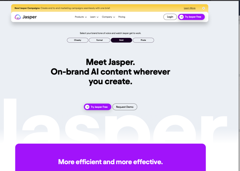 Jasper.ai - AI SEO content creation - insidr.ai