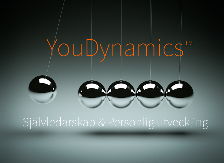 Youdynamics