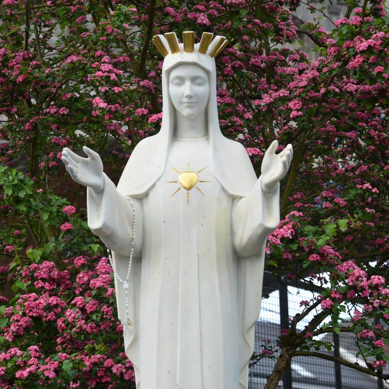 Sanctuaire-de-Beauraing-Statue-de-Notre-Dame