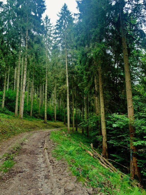 thumbnail_IMG_8058