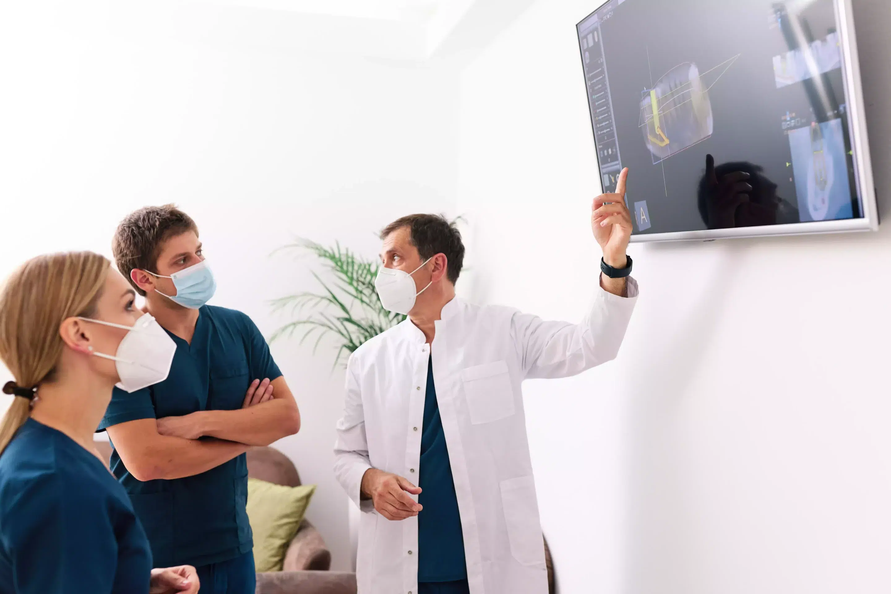 Dentistes montrant une radiographie sur une télévision, plante verte en fond