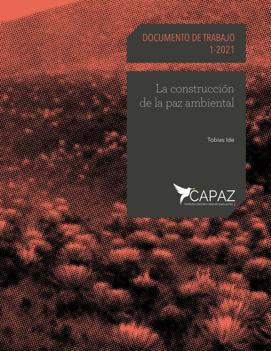 Portada Cover Working Paper 1-2021