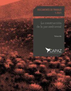 Portada Cover Working Paper 1-2021