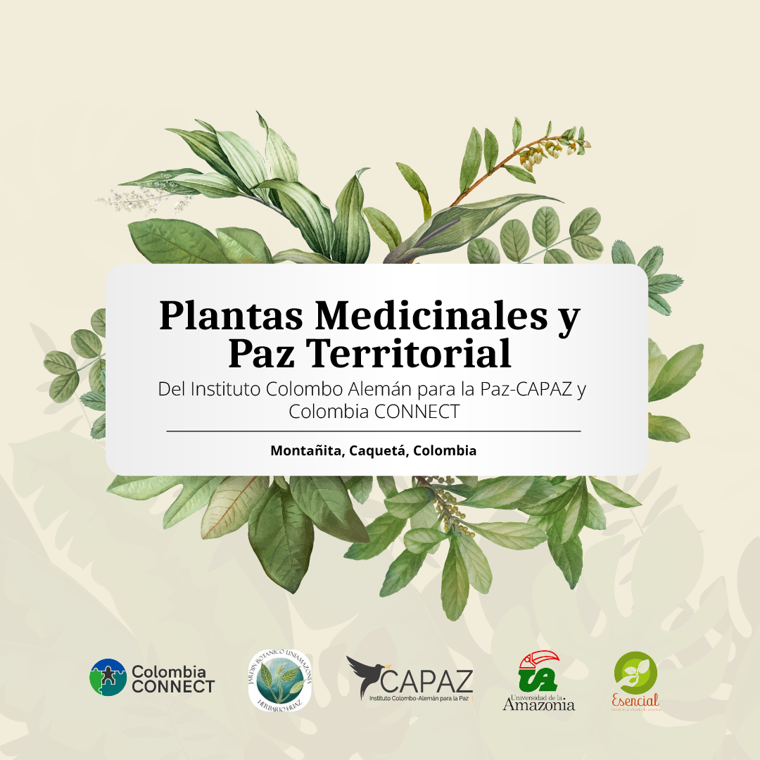 información sobre plantas medicinales en caquetá, instituto CAPAz y UniAmazonía