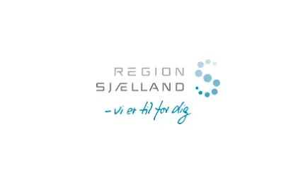 Region Sjællans logo på Into the grey