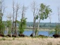 Elk Island National Park