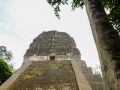 Intrepid Escape - Tikal Mayan Ruins Guatemala (6)