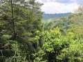 Gamboa Rainforest - Intrepid Escape