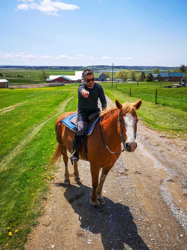 New Brunswick & the Bay of Fundy Road Trip In 2025