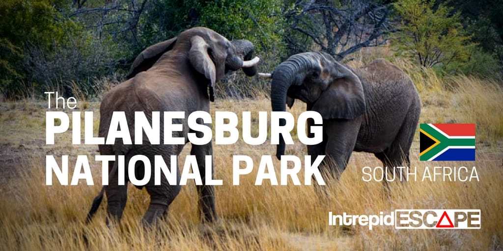 Pilanesburg National Park