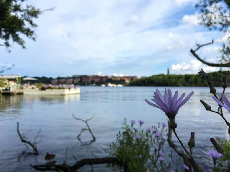 Run of the Month: Stockholm