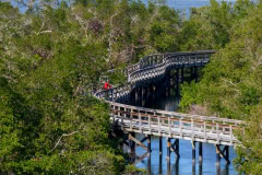 The Best Things to Do on Anna Maria Island and the Bradenton Area, FL