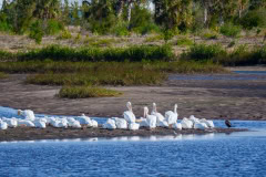 The Best Things to Do on Anna Maria Island and the Bradenton Area, FL